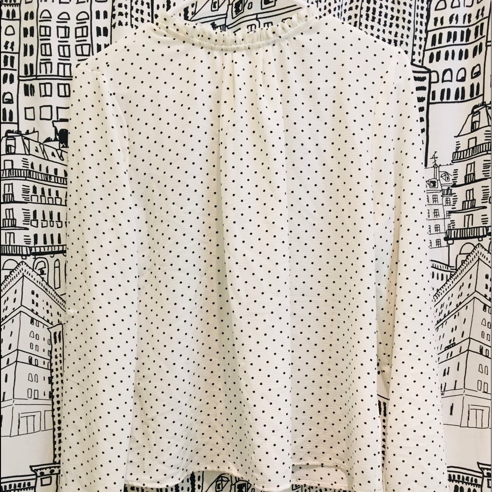 Polka-dotted long sleeve blouse